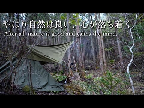 軍幕でソロキャンプ｜モヤモヤした日常に風を通してリフレッシュ｜シンプルなステーキ料理｜野営ブッシュクラフト
