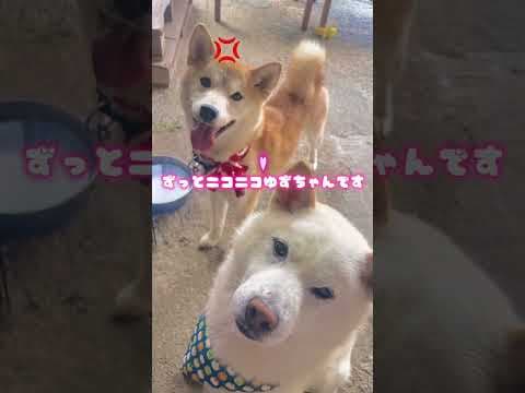 💢マークが活かされていないムキ子…かわいい