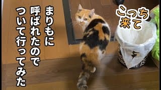 朝から呼ばれているのでついて行ってみたら…