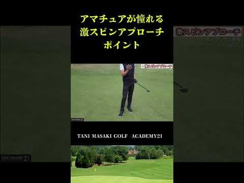 【激スピン】アプローチのポイントはコレ！！ #ゴルフ #golf #golfswing #ゴルフスイング #ゴルフ女子 #ゴルフスイング #ゴルフ女子