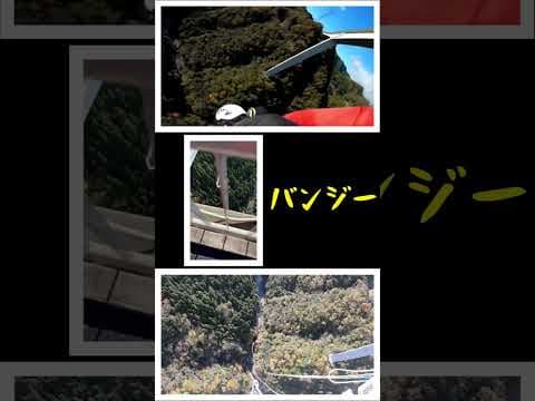 【215m】日本一高いバンジージャンプ #shorts #税理士 #かねしげてつやせんせー #税理士試験