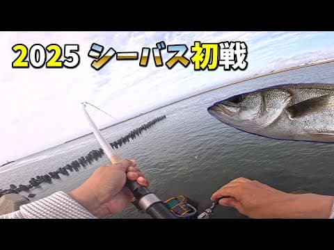 2025 川エビで釣るシーバス 初戦