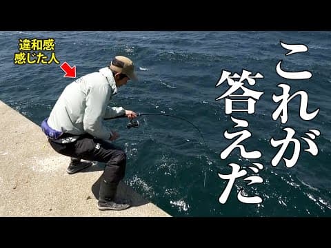 【石鯛】かぶせ釣りの達人が繰り出す神立ち回り | ガッ釣り関西