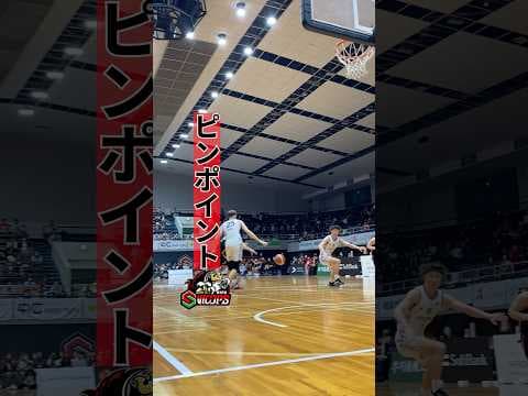 針穴に糸を通すような連携🪡 #バスケ #bリーグ #岐阜スゥープス