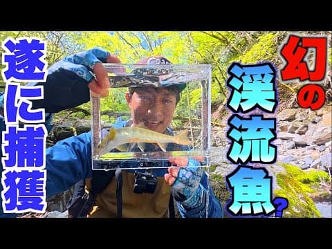 居るはずの無い高級魚を釣り上げました！！