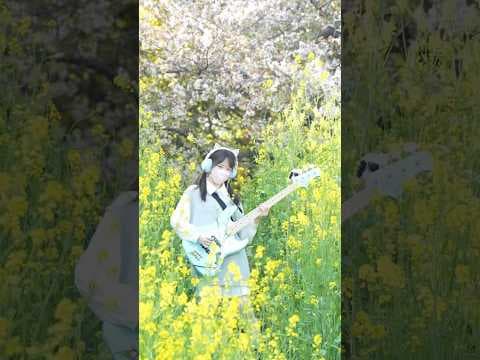 グロリアス / GLAY #弾いてみた #ベース女子 #GLAY #グロリアス #ベーシスト