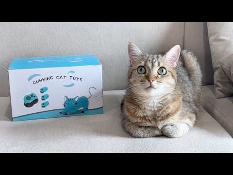 サプライズ失敗!? 隠してた誕生日プレゼントがバレました…