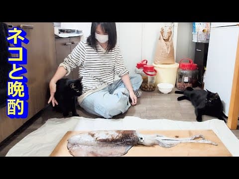 猫と晩酌！夏の夜店の料理を猫と楽しむ！顔面に座る大型犬！