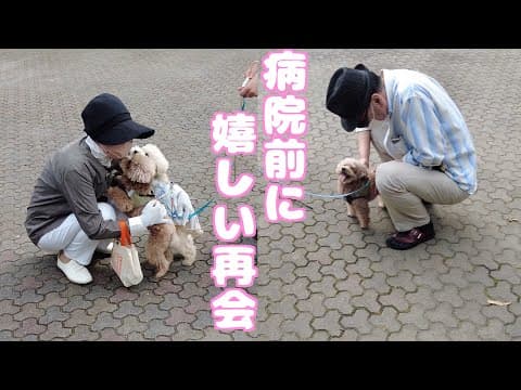大学病院前に大好きなジィジとバァバに元気を貰いに行ってきました！