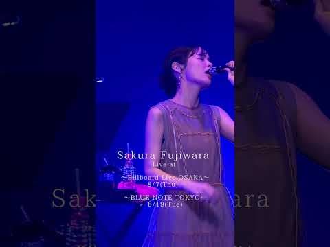 『Sakura Fujiwara Live at Billboard Live OSAKA  BLUE NOTE TOKYO』オフィシャルファンクラブ「Meating」チケット先行受付中