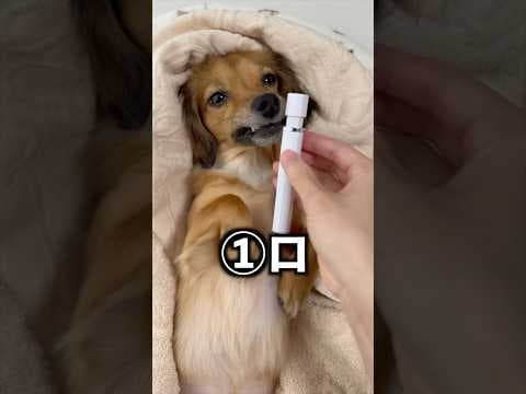 無臭なのは〇〇〇〇〇でした