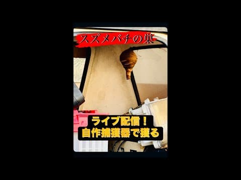 【ライブ配信】なんじゃこりゃ〜！お銚子をひっくり返した様な〝コレ〟実はスズメバチの巣でした！自作捕獲器で獲る…果たして上手くいくのか？刺されるのか？※本日の旧車動画はお休みです。