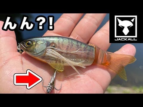 【バス釣り】スリックベイト(ジャッカル)のインプレ!!メインの使い方じゃない方が...【What is “SLICK BAIT” ヨコヨコプラグ“スリックベイト”】
