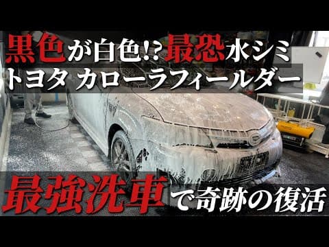 【徹底洗車】黒が白に見える絶望的な水シミをフルセット洗車で甦る car detailing TOYOTA COROLLA FIELDER