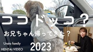 【浦田ココ】ヘンタイな？実家へ連れてって　　＃DOG ＃コムドット＃ココドッコ