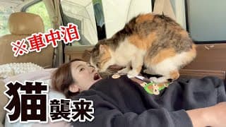 【車中泊女子】キャンプ中に車に入ってきた猫が可愛すぎる／千葉・花はなの里オートキャンプ場