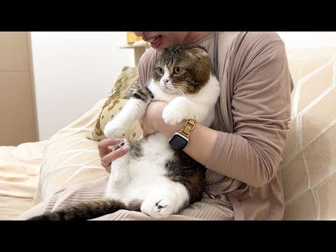 ママと妹の飲み会にうっかり参加してしまった猫の末路がこちら…w