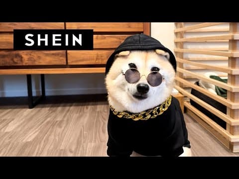 Z世代に人気のSHEINでペット用品を買ってみたら予想以上に凄かった