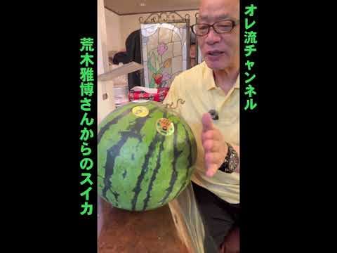 【荒木雅博さん】スイカ食べるみつ【ありがとう】