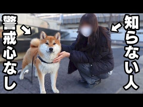 \初対面の謎の女子大生/いきなり触られた時の犬の反応は？「なんか..思ってたのと違う。」