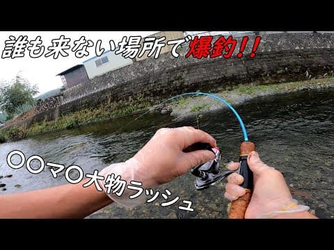 誰も釣りしない場所で釣りしたら爆釣だった！！