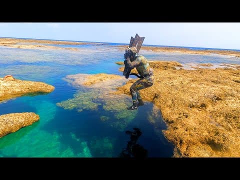 幻想的な水溜まりに飛び込んだらまさかの巨大魚が…！