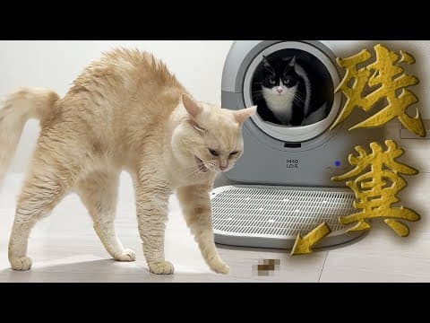 つよボムのくっさい落とし物にブチギレたニャーゴがとった行動とは！？【HHOLOVE自動猫トイレPro】