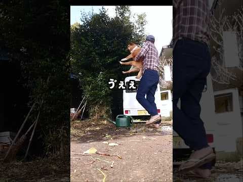 畑戻りのルーティン。