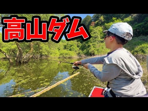 木の下にフリックシェイクを投げ込むと…