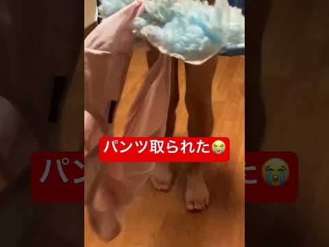 裸芸終わった後でパンツ取り上げられて、マッパで取り返す
