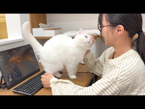 ゲームで負けたら猫が全力で慰めてくれました…笑