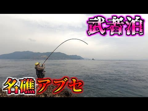 他人の釣り場で釣る武者泊の尾長グレが面白過ぎるｗｗｗ