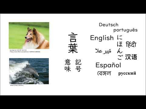 言葉ってなに？