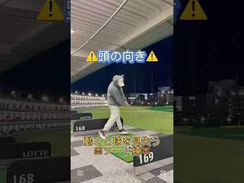 頭の向き　動くと球を見失うフード練🐻　#shorts #ゴルフ #ゴルフスイング #golfswing