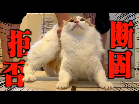 絶対に入らないと心に誓う”風呂キャン界隈"筆頭の猫がこちらww