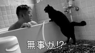 長風呂の飼い主を心配して風呂まで押しかける猫　Cat worried about its owner’s long bath