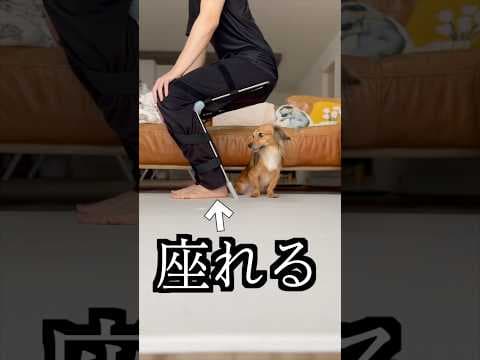 どこでも座れる椅子が快適すぎた！