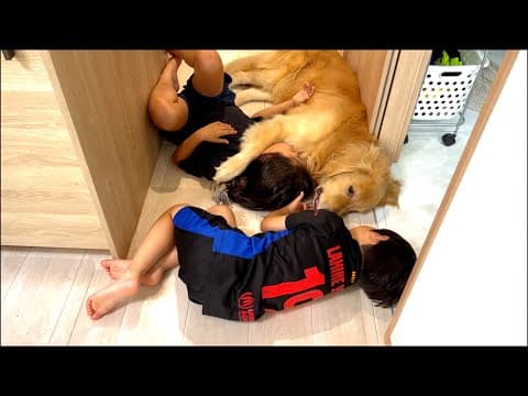 愛犬がいるだけで、不思議と集まってしまう子供たちw