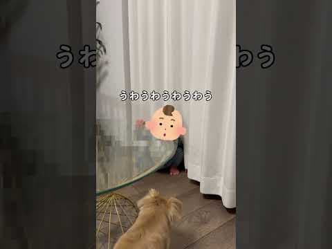 ハナが赤ちゃんに教えたこと
