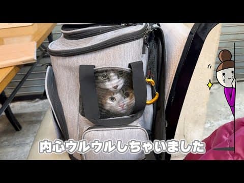 【北海道最後の日】旅をしながらどんどん成長していく我が子の姿に感動しました🥹