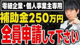 【個人零細でもMAX250万円】超人気の補助金をもらう確率が劇的に上げる事業計画書の作り方を採択額10億円超の公認会計士が解説します