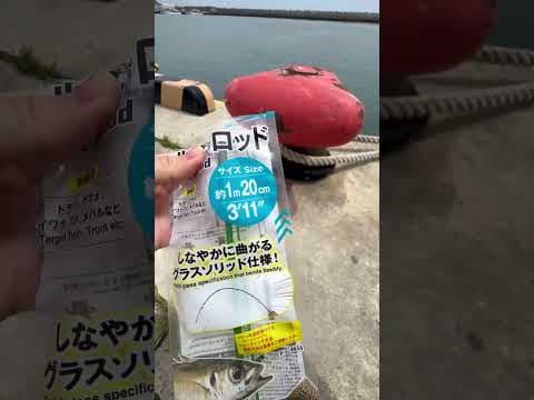 【ダイソー】これはもう、完全にアレ。既視感しかない100均釣具 #shorts