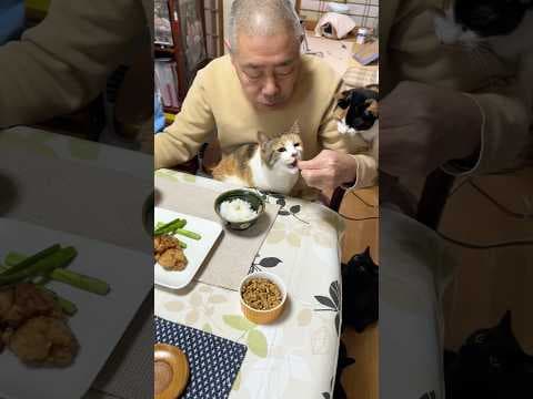 住職の夜ごはん。鶏もも肉のから揚げ 焼きアスパラ 生きゅうり ごはんともやしの味噌汁