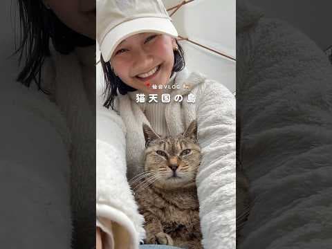 猫がいっぱいの島へ🐈💞 #国内旅行 #猫島 #田代島 #旅行 #女子旅 #猫 #猫動画