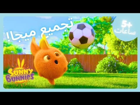 أرانب كرة القدم! | Sunny Bunnies | تجميع | WildBrain عربي