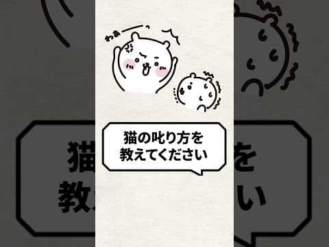 Q：猫の叱り方を教えてください #猫 #猫のいる暮らし #ねこ
