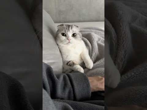 👶 #cat