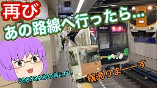 【鉄道旅ゆっくり実況】大阪メトロ30000A系を狙いながらミニ大回り＆久々の特急課金！