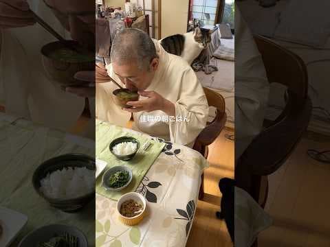 住職の朝ごはん。コシアブラの胡麻和え 味噌漬け 蓮根のきんぴら メンマ ごはんと味噌汁