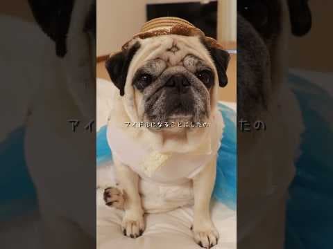 のど自慢コンテストに出場する母